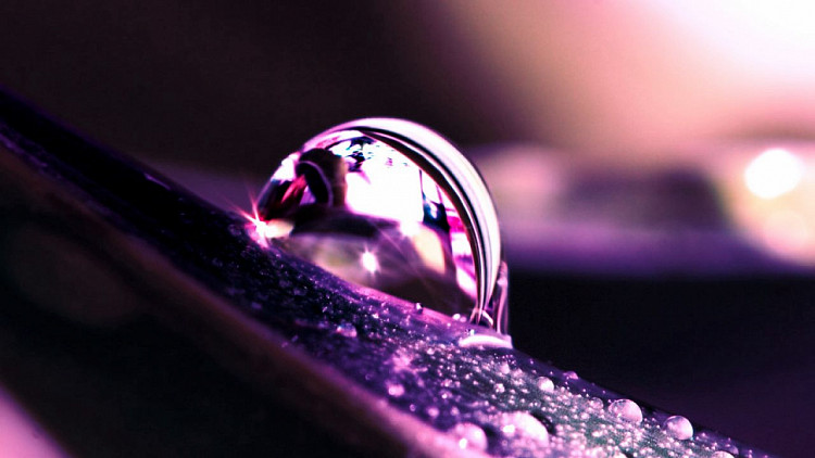 drops_dew_petal_90137_1280x720